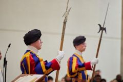 swissguard7